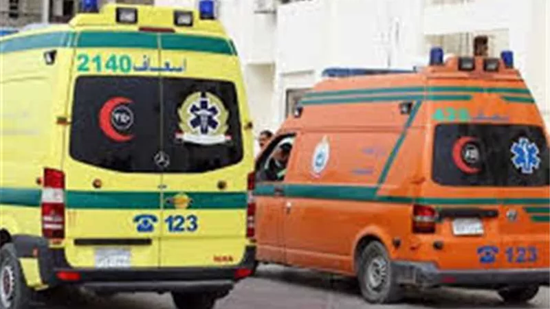 اصابة 8 اشخاص في انقلاب ميكروباص بترعة الشرقاوية بالدقهلية
