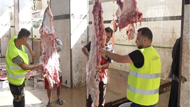 بالتعاون مع مجازر وزارة الزراعة وتحت اشراف الطب البيطرى الأورمان تستعد لذبح أضاحيها فى مجزر كفرالشيخ