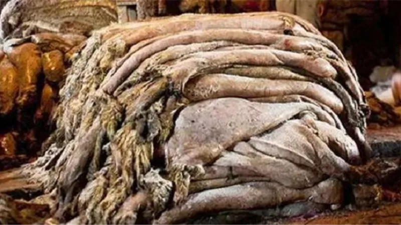 هل يجوز جمع جلود الأضحية وبيعها والتبرع بثمنها؟ .. الإفتاء تجيب