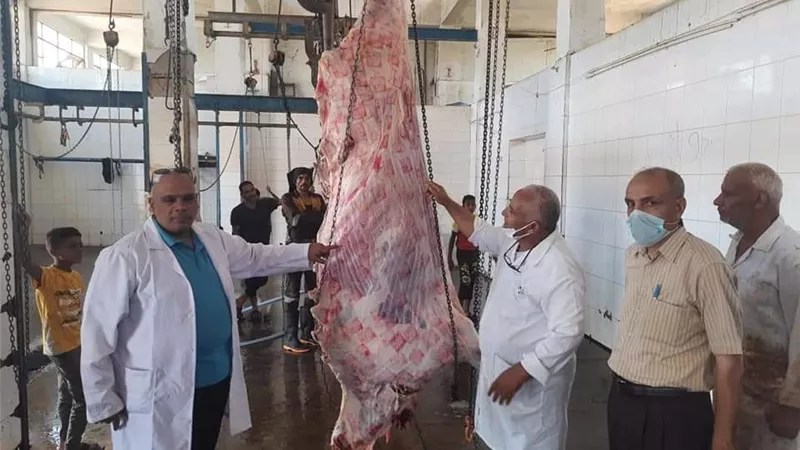 الطب البيطري بالسويس يستعد لعيد الأضحي المبارك