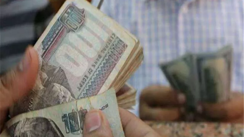 تعرف على أجور موظفي الدولة بعد زيادة يوليو 2021