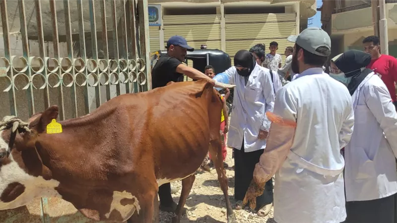 معهد بحوث التناسليات ينظم قافلة بيطريه مجانيه بالفيوم