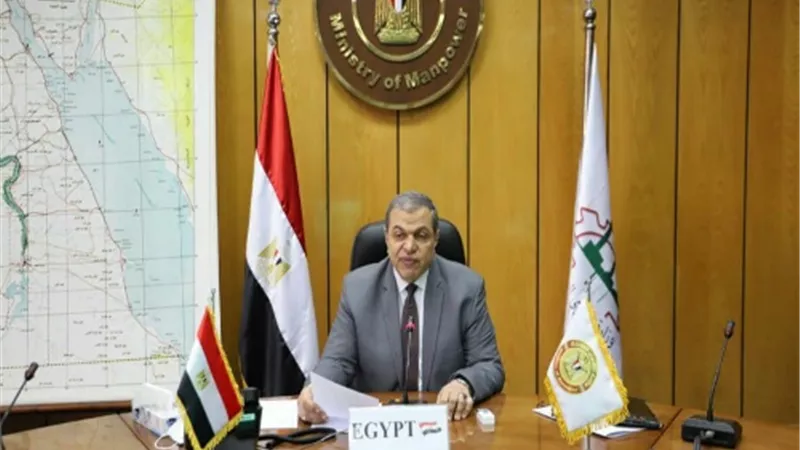 القوى العاملة : تعيين 18 شاباً .. والتفتيش على 211 منشأة بالوادي الجديد