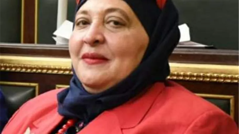 النائبة حنان عوض: مبادرة حياة كريمة الأفضل في تاريخ مصر