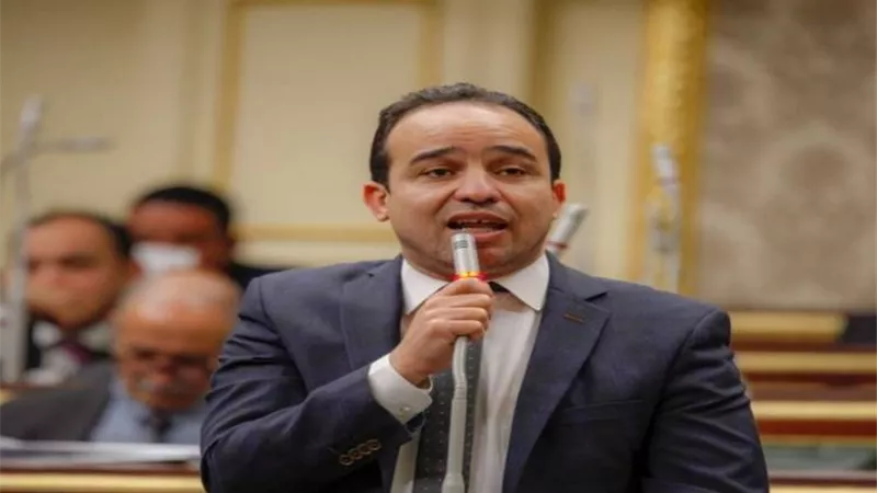 برلماني سابق: المواطن المصري في وجدان الرئيس والدولة.. فيديو