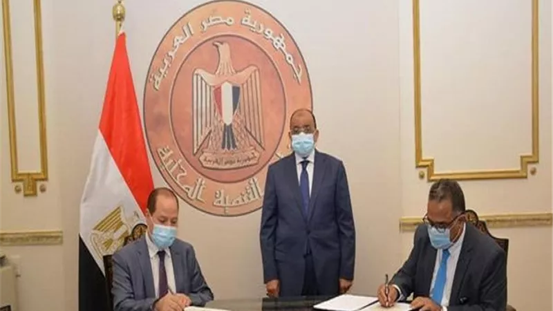 التنمية المحلية: توفير اللحوم بأسعار مخفضة لتخفيف العبء على المواطنين