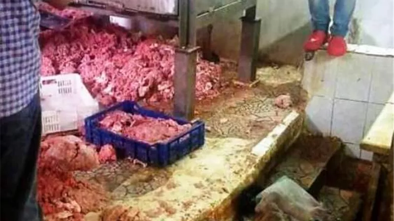 بيطرى الشرقية يضبط 23 طن دجاج بمجزر للدواجن ولحوم مخالفة فى بلبيس.. بالصور