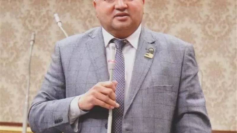 النائب مجدى الامير: 