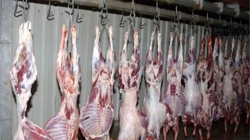 الطب البيطرى: الحبس سنة وغرامة ١٠ الاف جنية عقوبة ذبح محال الجزارة خارج المجازر