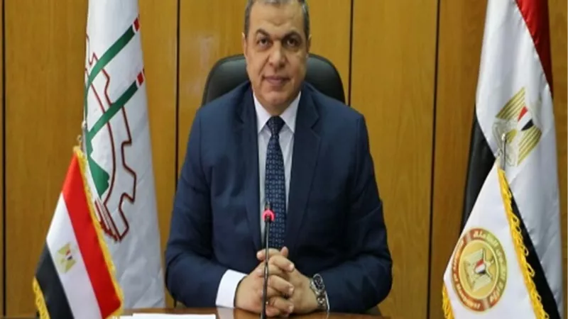 القوى العاملة : مشروع لتشغيل خريجي التدريب المهني على التفصيل والحياكة بالوادي الجديد