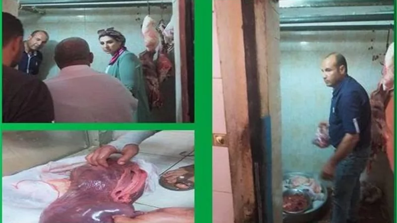 طب بيطري الإسماعيلية تحرر 4 محاضر لمحلات الجزارة والمنافذ قبل عيد الأضحى