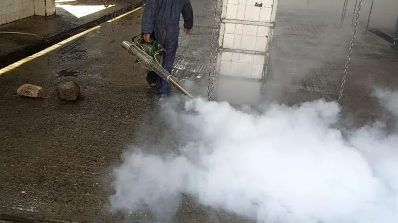 صحة المنيا تواصل أعمال التعقيم والتطهير للمجازر تزامنا مع حلول عيد الأضحى