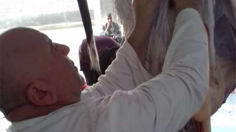 مجازر دمياط مفتوحة للذبح المجاني أمام المواطنين طوال ايام عيد الاضحى المبارك
