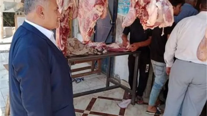 سكرتير محافظة الإسماعيلية يقود حملة مكبرة على المنافذ وشوادر اللحوم..صور