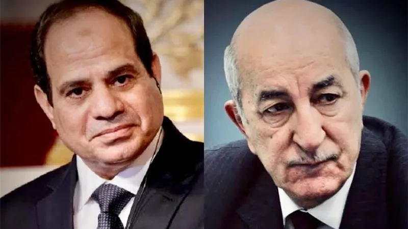 السيسي يجري اتصالاً هاتفياً بنظيره الجزائري