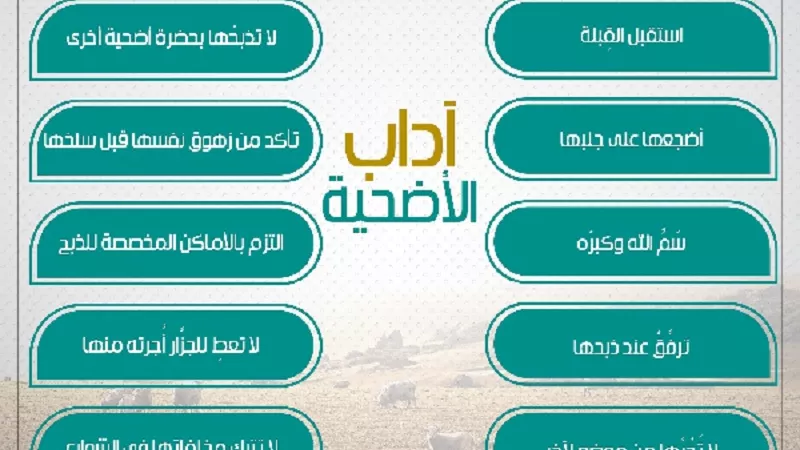 13 قاعدة للتعامل مع الأضحية تعرف عليها | انفوجراف