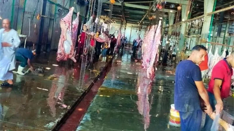 العيد 
