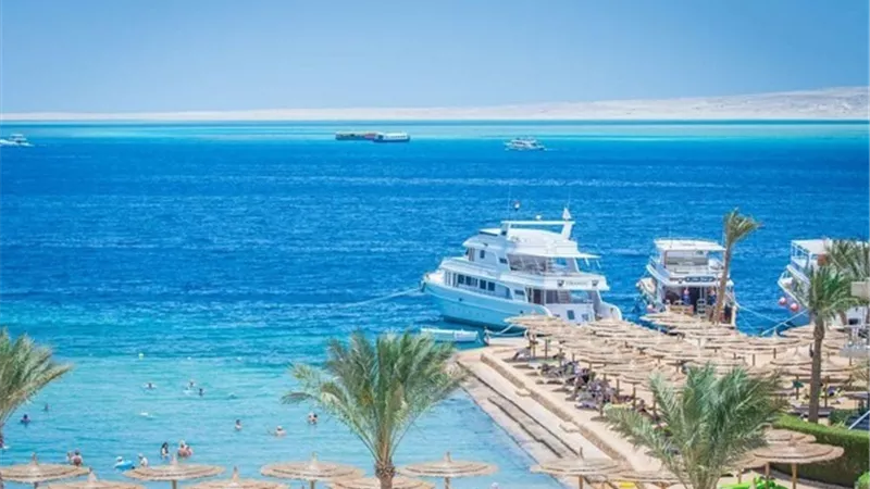 بالفيديو.. خبير سياحي: نسبة الإشغال في الغردقة تخطت 70٪ بالتزامن مع عيد الأضحى