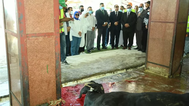 محافظ الدقهلية يشهد ذبح وتجهيز لحوم الأضاحي لتوزيعها علي الأسر الاولى بالرعاية