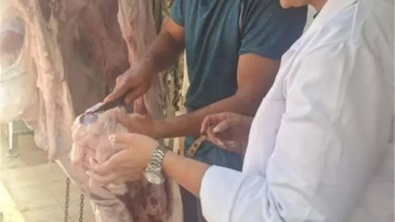 طب بيطري الإسماعيلية تفاجئ نقاط الذبح في أول أيام عيد الأضحى ..صور