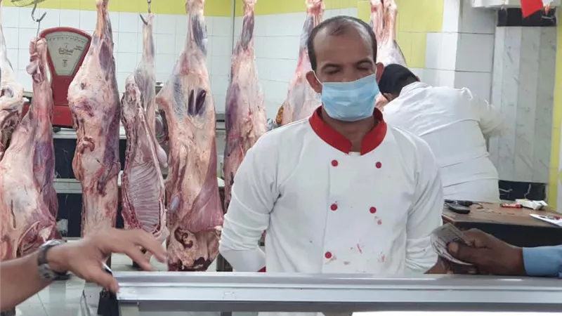 التموين : طرح 8 آلاف رأس ماشية و10 آلاف ذبيحة مبردة بالمجمعات الاستهلاكية