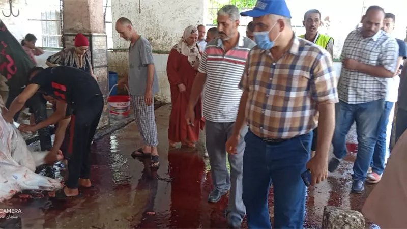 ذبح 40 عجل أضاحى من الأورمان ومصر الخير وتوزيعها على المستحقين بالمنوفية