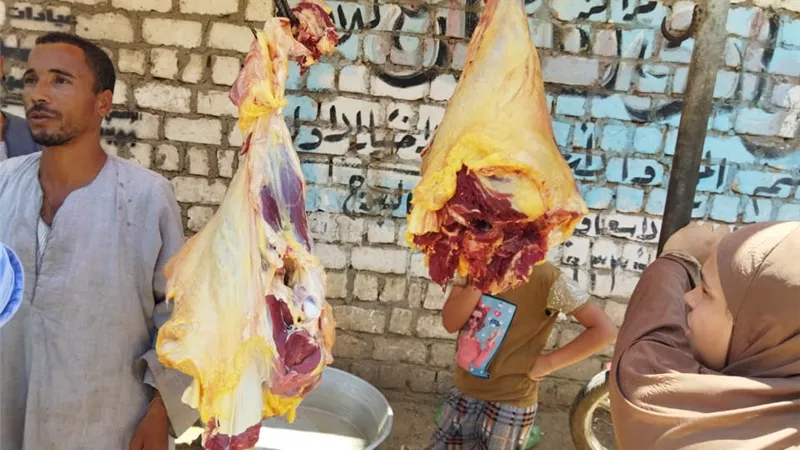 38 محضراً لمخالفات بمحلات الجزارة و35 للمخابز ببنى سويف