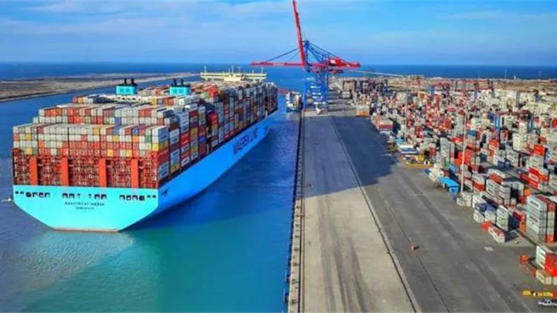 ٣ مليارات جنيه ضرائب ورسوم بجمارك السخنة فى يونيو الماضى