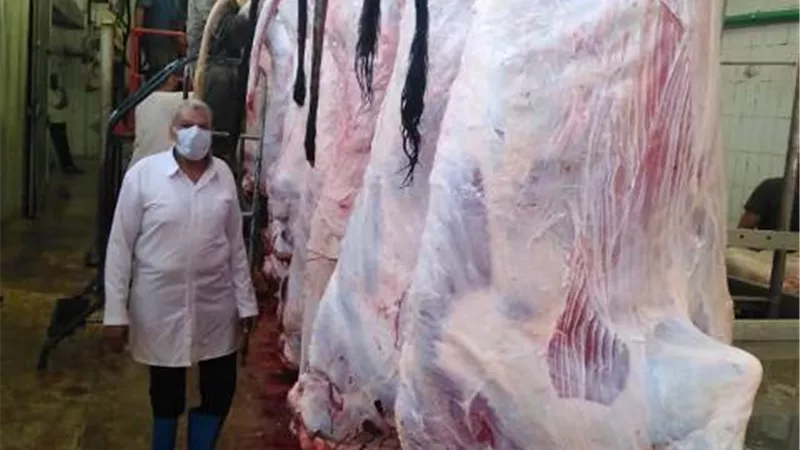 الزراعة: المجازر تستقبل ٢٠ الف اضحية خلال ايام العيد الثلاثة