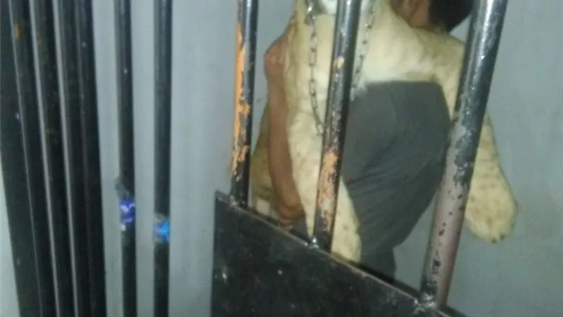 حبس 3 متهمين بحيازة أسد في السخنة ونقله إلى حديقة الحيوان بالجيزة