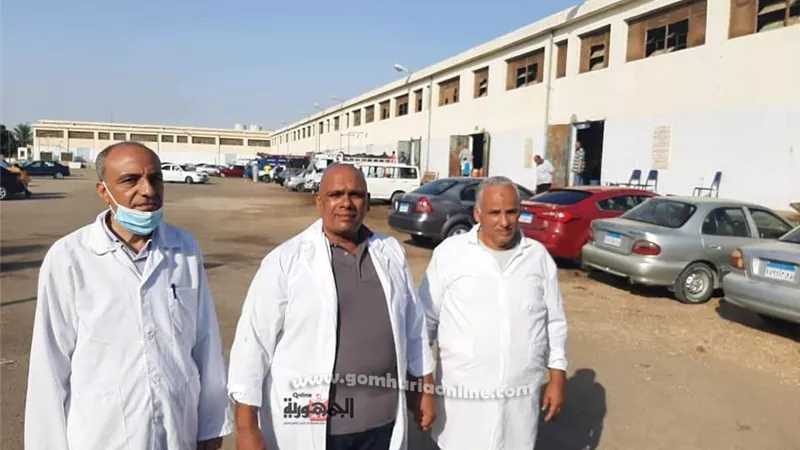 انتظام المجزر العام بالسويس قضي علي الذبح العشوائي في الشوارع