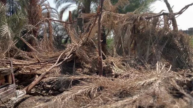 أزالة حالة تعدى عبارة عن 