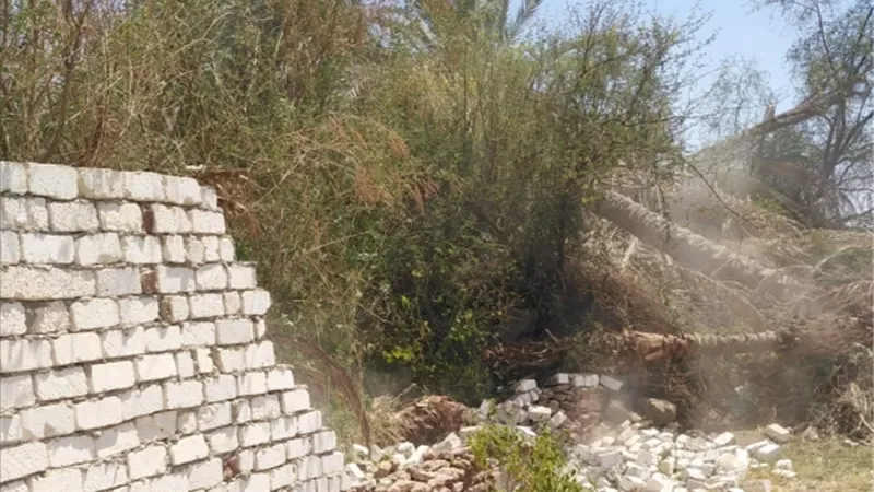 رصد ٤ حالات تعدى بالبناء وإزالتها على الفور بالأقصر