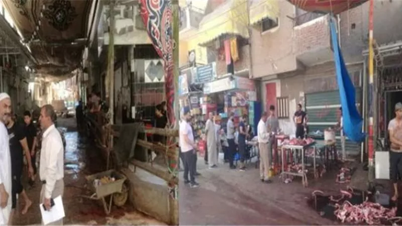 حملات مكبرة للنظافة العامة ورفع مخلفات ذبح الأضاحي في الإسماعيلية..صور