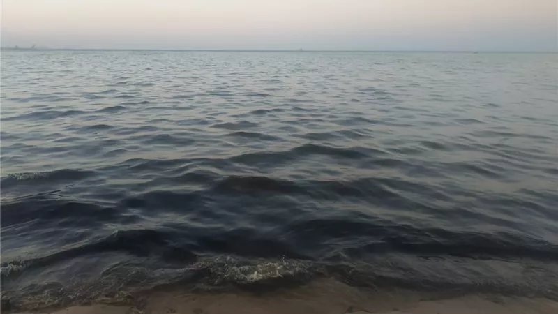 تلوث بترولي فى شواطئ سفاجا جنوب البحر الأحمر