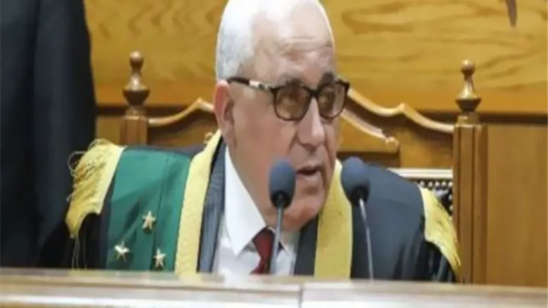 الجنايات تأمر بإخطار الإنتربول الدولي بسرعة ضبط وإحضار المقاول الهارب محمد علي