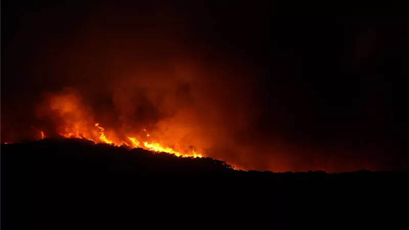 حرائق في جزيرة سردينيا الإيطالية في البحر المتوسط