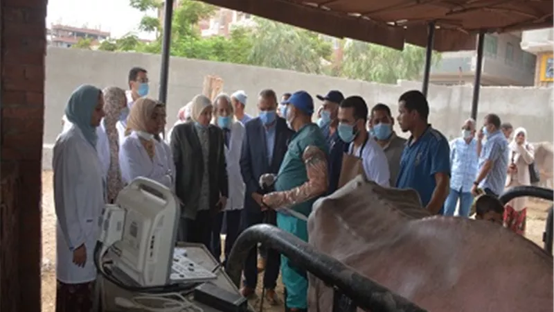 قافلة بيطرية مجانية بقرية ميت كنانة بطوخ لمدة أسبوع