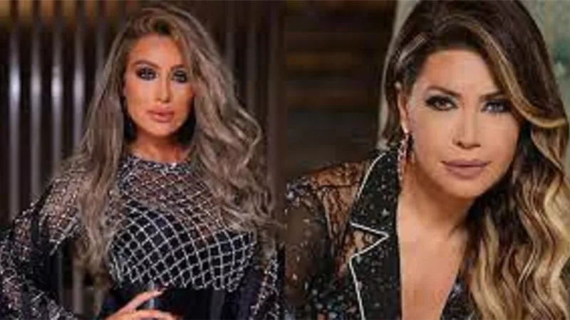 مايا دياب تشيد بأغنية 