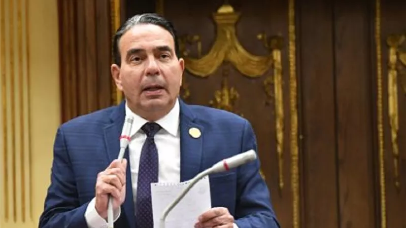 أيمن أبو العلا: مجلس النواب حقق التوازن بين الرقابة والتشريع