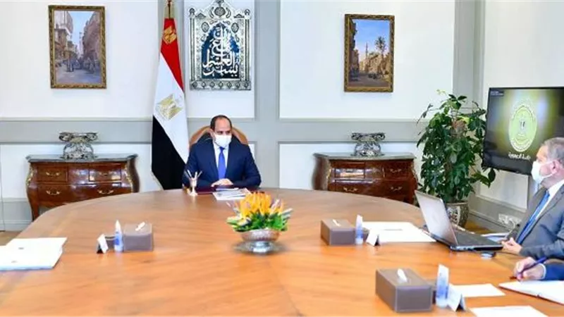 الرئيس السيسى يتابع جهود إعادة هيكلة وتطوير شركات قطاع الأعمال العام