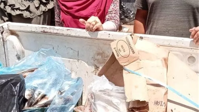 ضبط لحوم وأسماك منتهية الصلاحية وغير صالحة للاستهلاك الآدمى بالمنوفية ...صور