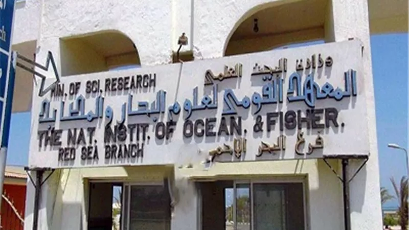 المعهد القومى لعلوم البحار يعقد عددًا من ورش العمل احتفالاً باليوم العالمي للمحيطات