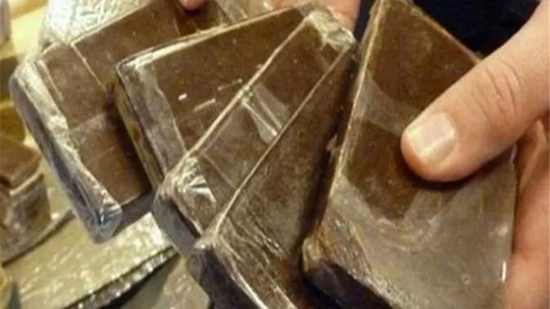 بدء سريان قانون استعمال الحشيش في المغرب