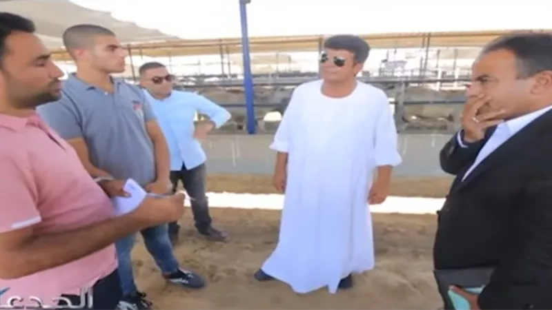 إنتاج 4 أصناف مصرية جديدة من الأعلاف لزيادة اللحوم ..فيديو