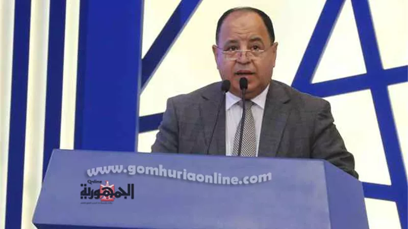 وزير المالية: الدولة حولت ٣٣٠ مليار جنيه من الخزانة العامة الى صناديق المعاشات في عامين