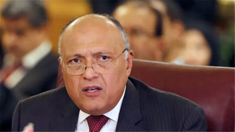 وزير الخارجية: نواصل العمل مع دول الجوار من أجل مصلحة ليبيا