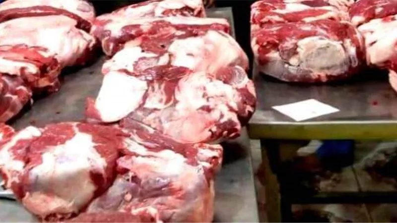 بيطري الشرقية يضبط 3.7 طن لحوم وأسماك مجهولة المصدر فى بلبيس