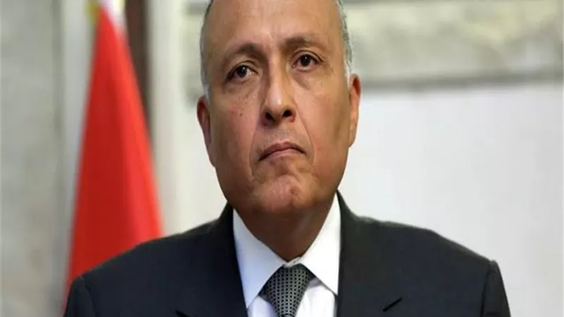 سامح شكري يدعو شركات التشيكية لاستغلال اقتصادية قناة السويس للنفاذ إلى الأسواق العالمية