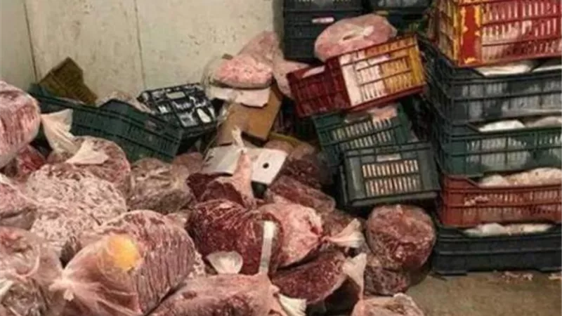 مباحث التموين تضبط نحو 9 أطنان لحوم ودواجن وأسماك فاسدة قبل ترويجها بالأسواق